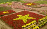 Ngắm Asian Cup làm từ hàng vạn cây hoa ở Hà Nội